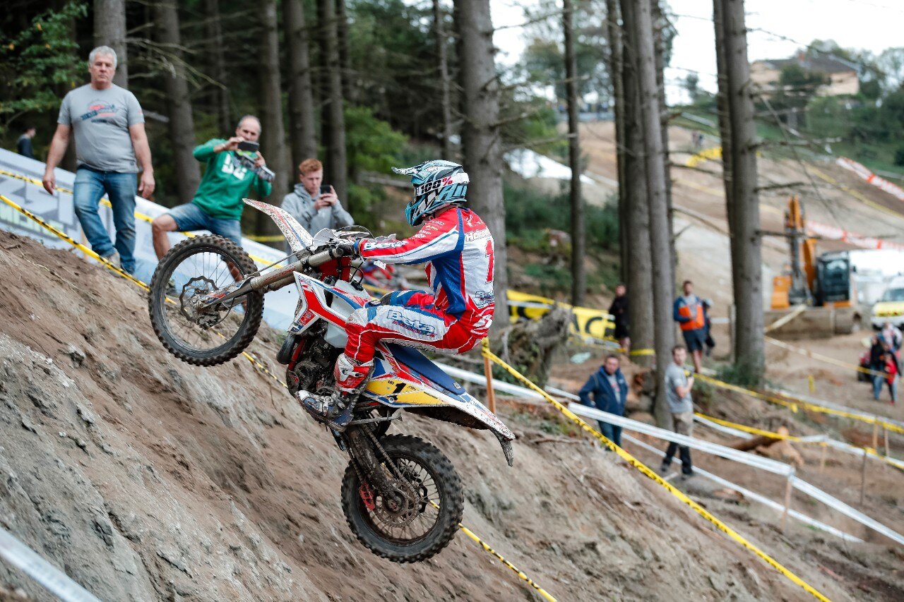 Steve Holcombe: ME LI BEVO TUTTI!